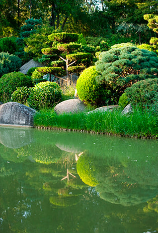 Égayez votre jardin grâce à l’aménagement de jardin