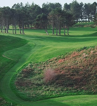 amenagement et entretien du golf par Arbroparc