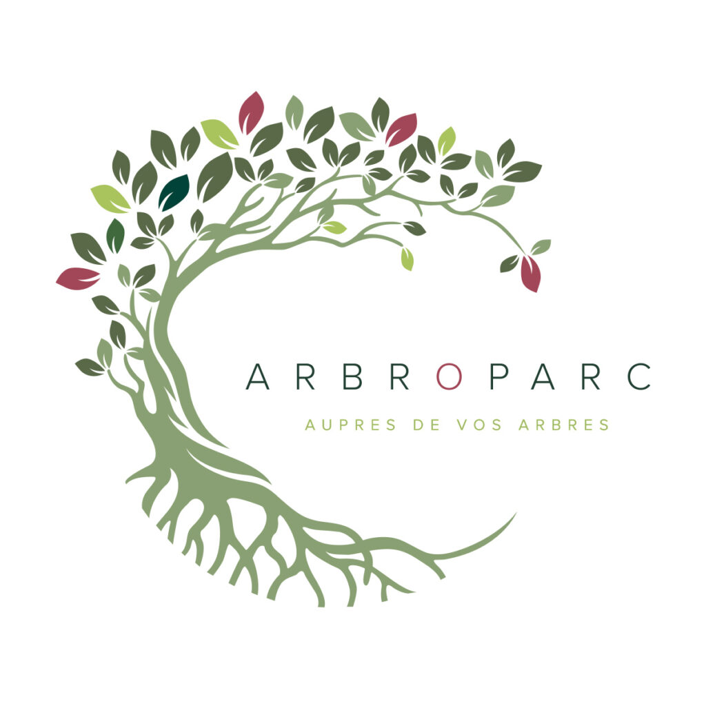 logo d'Arbroparc, Respectueuse de l'environnement, notre entreprise est une référence dans la taille d'arbres et la création paysagère.