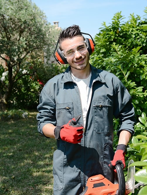 abroparc le travail en equipe pour votre jardin