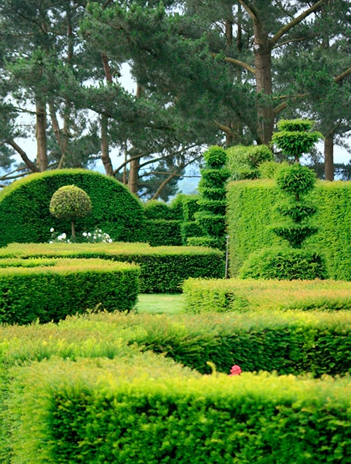 un aménagement de jardin par Arbroparc
