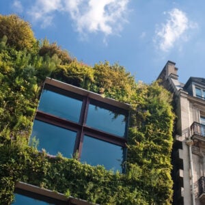 végétalisation d'une façade par Arbroparc. Paris